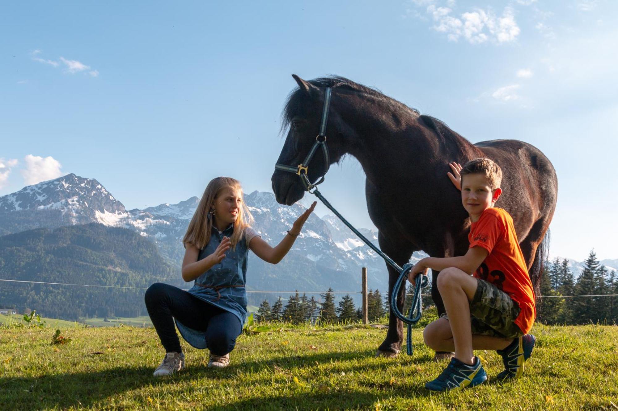 Lammerauhof Abtenau Esterno foto