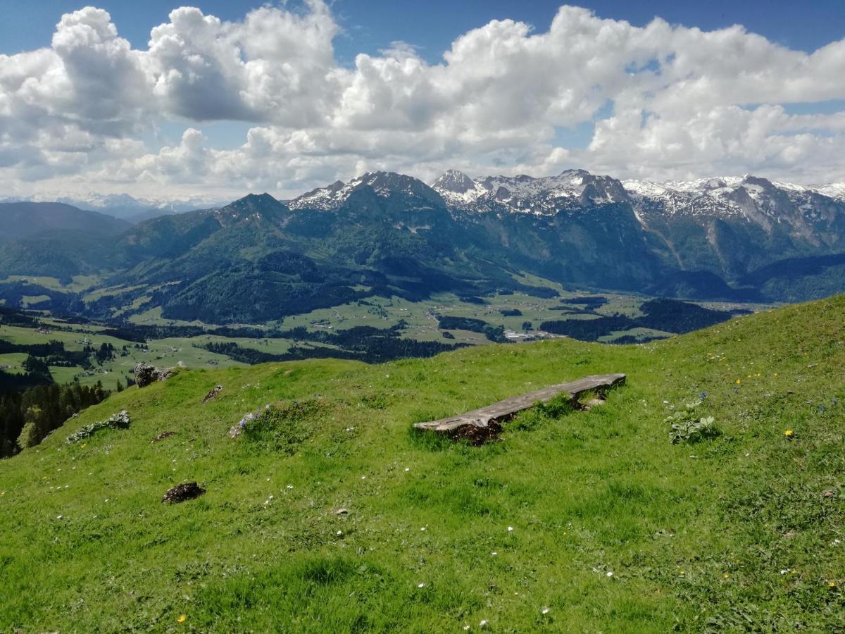 Lammerauhof Abtenau Esterno foto