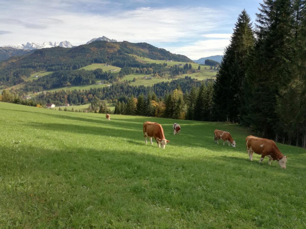 Lammerauhof Abtenau Esterno foto