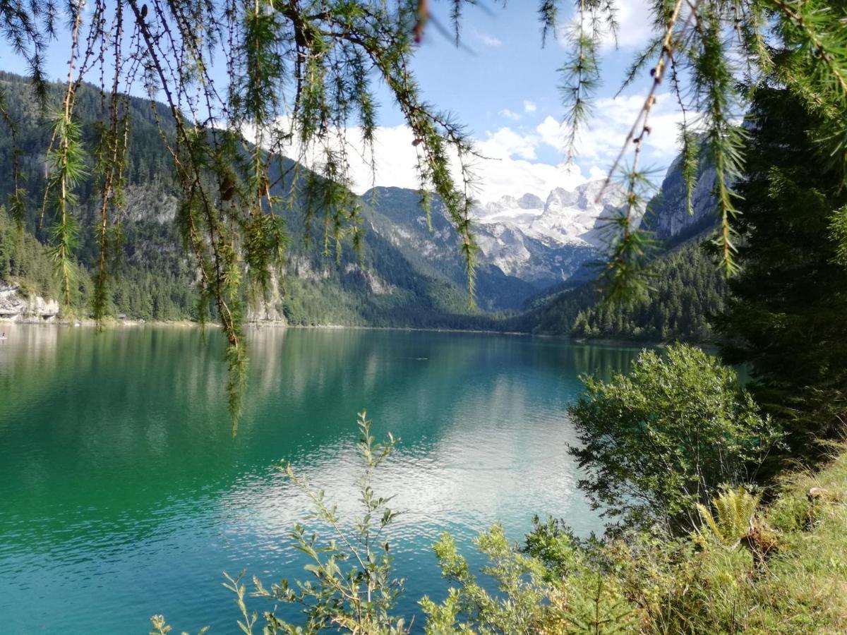 Lammerauhof Abtenau Esterno foto
