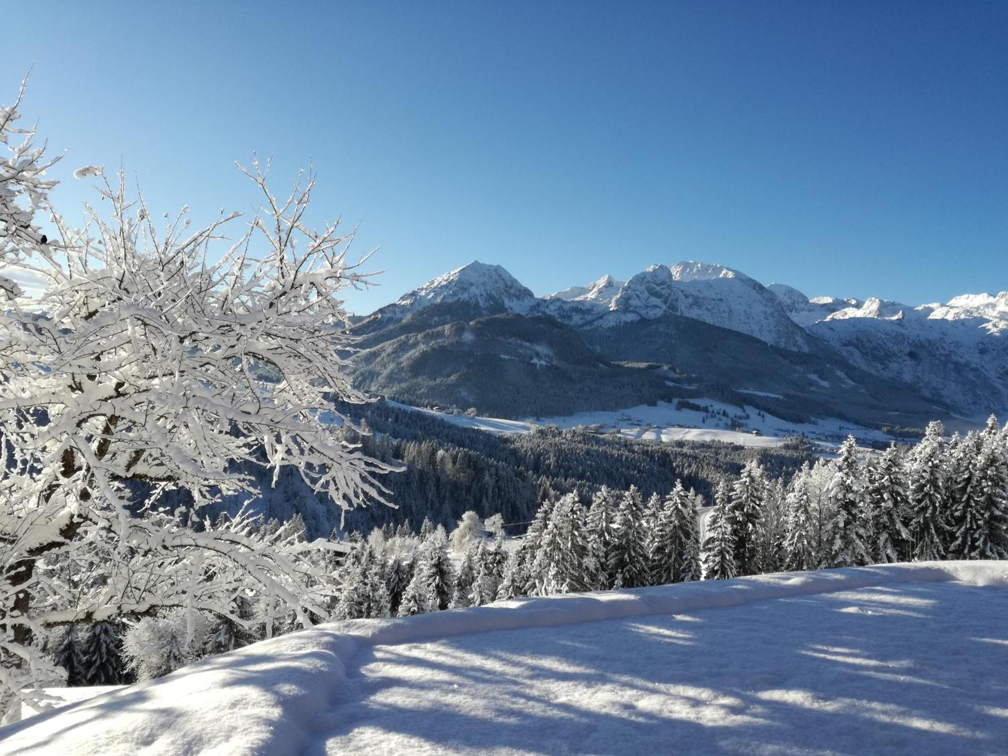Lammerauhof Abtenau Esterno foto